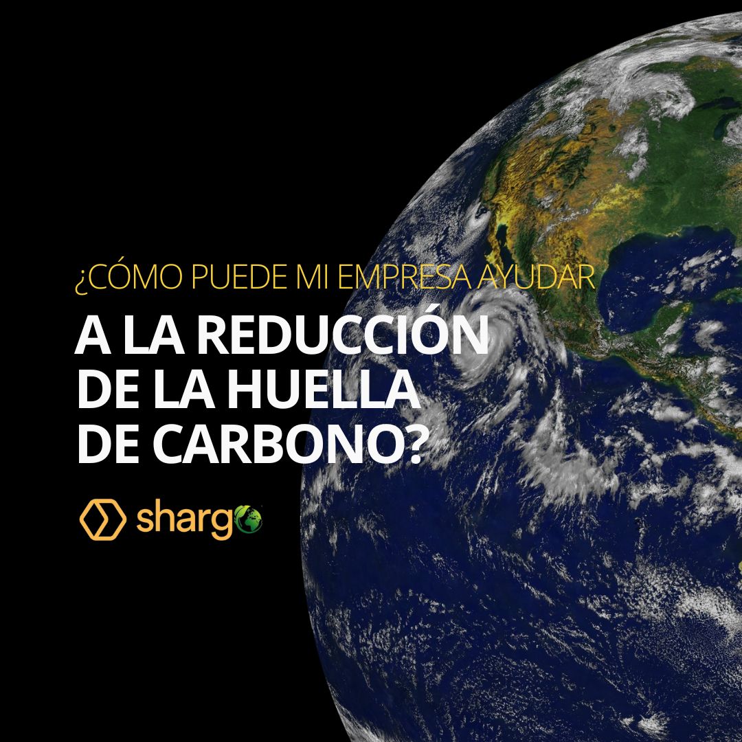 ¿Cómo reducir la huella de carbono? - Blog Shargo